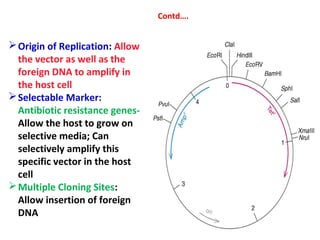Contd….
Origin of Replication: Allow
the vector as well as the
foreign DNA to amplify in
the host cell
Selectable Marker...