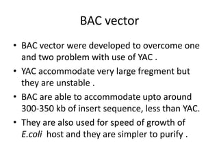 Cloning vectors | PPTX