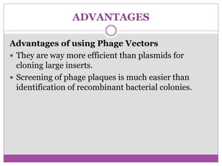 ADVANTAGES
Advantages of using Phage Vectors
 They are way more efficient than plasmids for
cloning large inserts.
 Screening of phage plaques is much easier than
identification of recombinant bacterial colonies.
 
