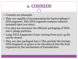4. COSMIDS
 Cosmids are plasmids.
 They are capable of incorporating the bacteriophage λ
DNA segment. This DNA segment contains cohesive
terminal sites (cos sites).
 Cos sites are necessary for efficient packaging of DNA
into λ phage particles.
 Large DNA fragments of size varying from 25 to 45 kb
can be cloned.
 They are also packaged into λ This permits the foreign
DNA fragment or genes to be introduced into the host
organism by the mechanism of transduction.
 