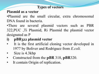 Types of vectors
Plasmid as a vector
•Plasmid are the small circular, extra chromosomal
DNA found in bacteria.
•There are several plasmid vectors such as PBR
322,PUC ,Ti Plasmid, Ri Plasmid the plasmid vector
designated as P
i) pBR322 plasmid vector
• It is the first artificial cloning vector developed in
1977 by Boliver and Rodriguez from E.coli.
• Size is 4.3kbp
• Constructed from the pBR 318, pBR320.
• It contain Origin of replication.
 