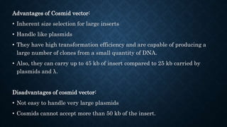 Cloning vectors by Kailash Sontakke | PPTX