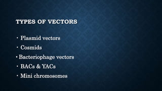 Cloning vectors by Kailash Sontakke | PPTX