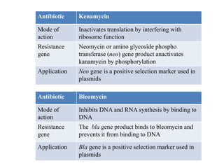 Antibiotic Kenamycin
Mode of
action
Inactivates translation by interfering with
ribosome function
Resistance
gene
Neomycin or amino glycoside phospho
transferase (neo) gene product anactivates
kanamycin by phosphorylation
Application Neo gene is a positive selection marker used in
plasmids
Antibiotic Bleomycin
Mode of
action
Inhibits DNA and RNA synthesis by binding to
DNA
Resistance
gene
The bla gene product binds to bleomycin and
prevents it from binding to DNA
Application Bla gene is a positive selection marker used in
plasmids
 