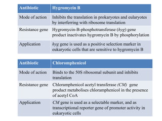 Antibiotic Hygromycin B
Mode of action Inhibits the translation in prokaryotes and eularyotes
by interferring with ribosome translation
Resistance gene Hygromycin-B-phosphotransferase (hyg) gene
product inactivates hygromycin B by phosphorylation
Application hyg gene is used as a positive selection marker in
eukaryotic cells that are sensitive to hygromycin B
Antibiotic Chloromphenicol
Mode of action Binds to the 50S ribosomal subunit and inhibits
translation
Resistance gene Chloramphenicol acetyl transferase (CM) gene
product metabolises chloramphenicol in the presence
of acetyl CoA
Application CM gene is used as a selectable marker, and as
transcriptional reporter gene of promoter activity in
eukaryotic cells
 