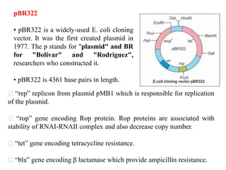 pBR322
• pBR322 is a widely-used E. coli cloning
vector. It was the first created plasmid in
1977. The p stands for "plasmid" and BR
for "Bolivar" and "Rodriguez",
researchers who constructed it.
• pBR322 is 4361 base pairs in length.
“rep” replicon from plasmid pMB1 which is responsible for replication
of the plasmid.
“rop” gene encoding Rop protein. Rop proteins are associated with
stability of RNAI-RNAII complex and also decrease copy number.
“tet” gene encoding tetracycline resistance.
“bla” gene encoding β lactamase which provide ampicillin resistance.
 