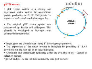 pET28 vector:
• pET vector system is a cloning and
expression vector system for recombinant
protein production in E.coli. This product is
registered under trademark of Novagen Inc.
• The original pET vector system was
constructed by Studier and colleagues. That
plasmid is developed at Novagen with
enhanced characteristics.
• Target genes are cloned under strong T7 bacteriophage promoter.
• The expression of the target protein is inducible by providing T7 RNA
polymerase in the host cell as an inducing signal.
• Ampicillin and kannamycin resistance genes are available in pET vectors as
selection marker.
• pET28 and pET32 are the most commonly used pET vectors.
 