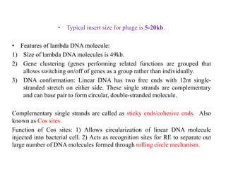 • Typical insert size for phage is 5-20kb.
• Features of lambda DNA molecule:
1) Size of lambda DNA molecules is 49kb.
2) Gene clustering (genes performing related functions are grouped that
allows switching on/off of genes as a group rather than individually.
3) DNA conformation: Linear DNA has two free ends with 12nt single-
stranded stretch on either side. These single strands are complementary
and can base pair to form circular, double-stranded molecule.
Complementary single strands are called as sticky ends/cohesive ends. Also
known as Cos sites.
Function of Cos sites: 1) Allows circularization of linear DNA molecule
injected into bacterial cell. 2) Acts as recognition sites for RE to separate out
large number of DNA molecules formed through rolling circle mechanism.
 