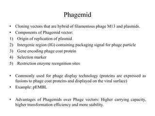 Phagemid
• Cloning vectors that are hybrid of filamentous phage M13 and plasmids.
• Components of Phagemid vector:
1) Origin of replication of plasmid
2) Intergenic region (IG) containing packaging signal for phage particle
3) Gene encoding phage coat protein
4) Selection marker
5) Restriction enzyme recognition sites
• Commonly used for phage display technology (proteins are expressed as
fusions to phage coat proteins and displayed on the viral surface)
• Example: pEMBL
• Advantages of Phagemids over Phage vectors: Higher carrying capacity,
higher transformation efficiency and more stability.
 