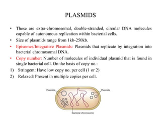 PLASMIDS
• These are extra-chromosomal, double-stranded, circular DNA molecules
capable of autonomous replication within bacterial cells.
• Size of plasmids range from 1kb-250kb.
• Episomes/Integrative Plasmids: Plasmids that replicate by integration into
bacterial chromosomal DNA.
• Copy number: Number of molecules of individual plasmid that is found in
single bacterial cell. On the basis of copy no.:
1) Stringent: Have low copy no. per cell (1 or 2)
2) Relaxed: Present in multiple copies per cell.
 