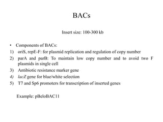 BACs
Insert size: 100-300 kb
• Components of BACs:
1) oriS, repE-F: for plasmid replication and regulation of copy number
2) parA and parB: To maintain low copy number and to avoid two F
plasmids in single cell
3) Antibiotic resistance marker gene
4) lacZ gene for blue/white selection
5) T7 and Sp6 promoters for transcription of inserted genes
Example: pBeloBAC11
 
