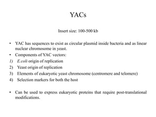 YACs
Insert size: 100-500 kb
• YAC has sequences to exist as circular plasmid inside bacteria and as linear
nuclear chromosome in yeast.
• Components of YAC vectors:
1) E.coli origin of replication
2) Yeast origin of replication
3) Elements of eukaryotic yeast chromosome (centromere and telomere)
4) Selection markers for both the host
• Can be used to express eukaryotic proteins that require post-translational
modifications.
 