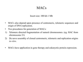 MACs
Insert size: 100 kb-1 Mb
• MACs also depend upon presence of centromeric, telomeric sequences and
origin of DNA replication.
• Two procedures for generation of MACs:
1) Telomere directed fragmentation of natural chromosomes. (eg. HAC from
chromosome 21)
2) De novo assembly of cloned centromeric, telomeric and replication origins
in-vitro.
• MACs have application in gene therapy and eukaryotic protein expression.
 