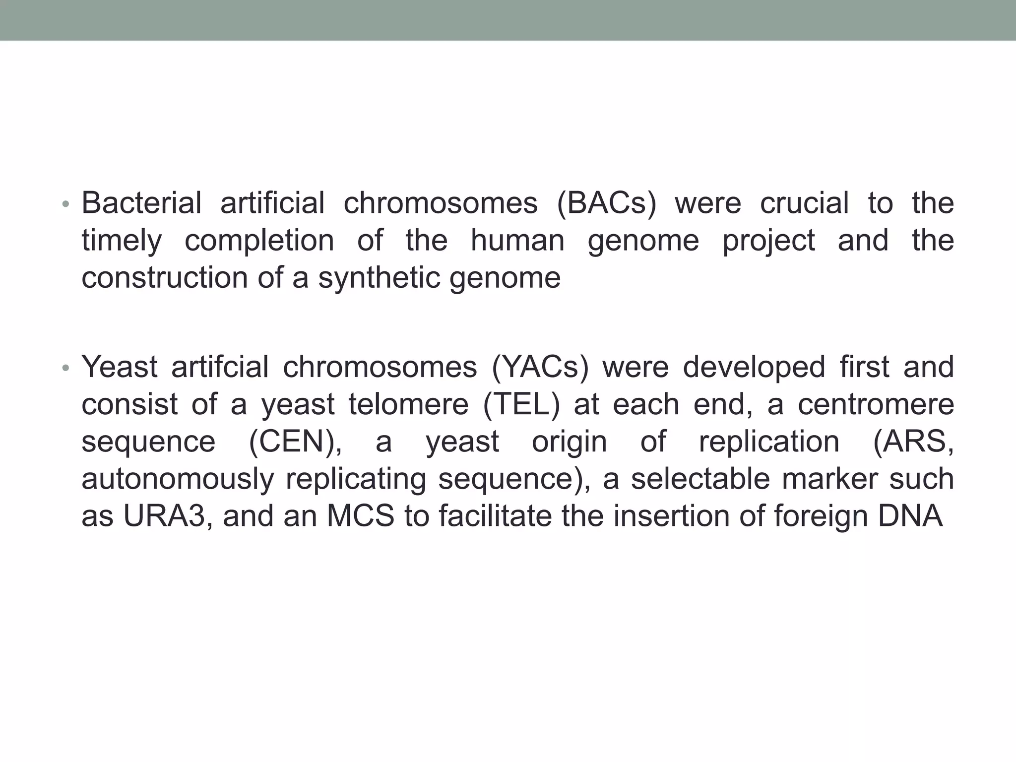 • Bacterial artificial chromosomes (BACs) were crucial to the
timely completion of the human genome project and the
construction of a synthetic genome
• Yeast artifcial chromosomes (YACs) were developed first and
consist of a yeast telomere (TEL) at each end, a centromere
sequence (CEN), a yeast origin of replication (ARS,
autonomously replicating sequence), a selectable marker such
as URA3, and an MCS to facilitate the insertion of foreign DNA
 