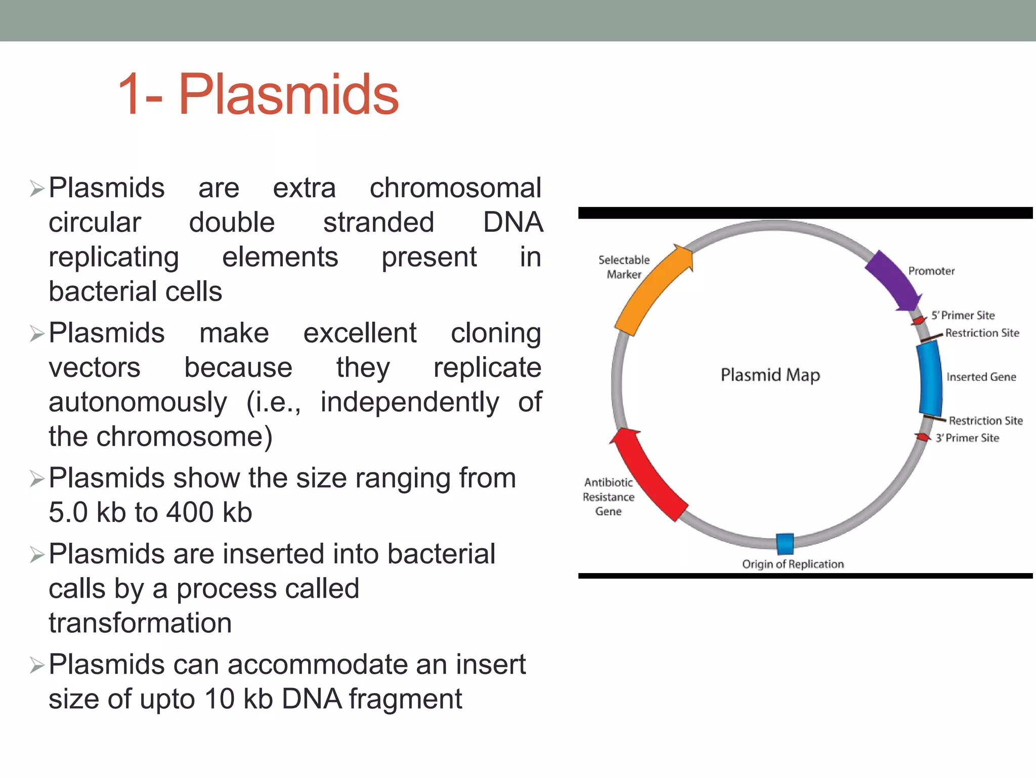 1- Plasmids
Plasmids are extra chromosomal
circular double stranded DNA
replicating elements present in
bacterial cells
Plasmids make excellent cloning
vectors because they replicate
autonomously (i.e., independently of
the chromosome)
Plasmids show the size ranging from
5.0 kb to 400 kb
Plasmids are inserted into bacterial
calls by a process called
transformation
Plasmids can accommodate an insert
size of upto 10 kb DNA fragment
 