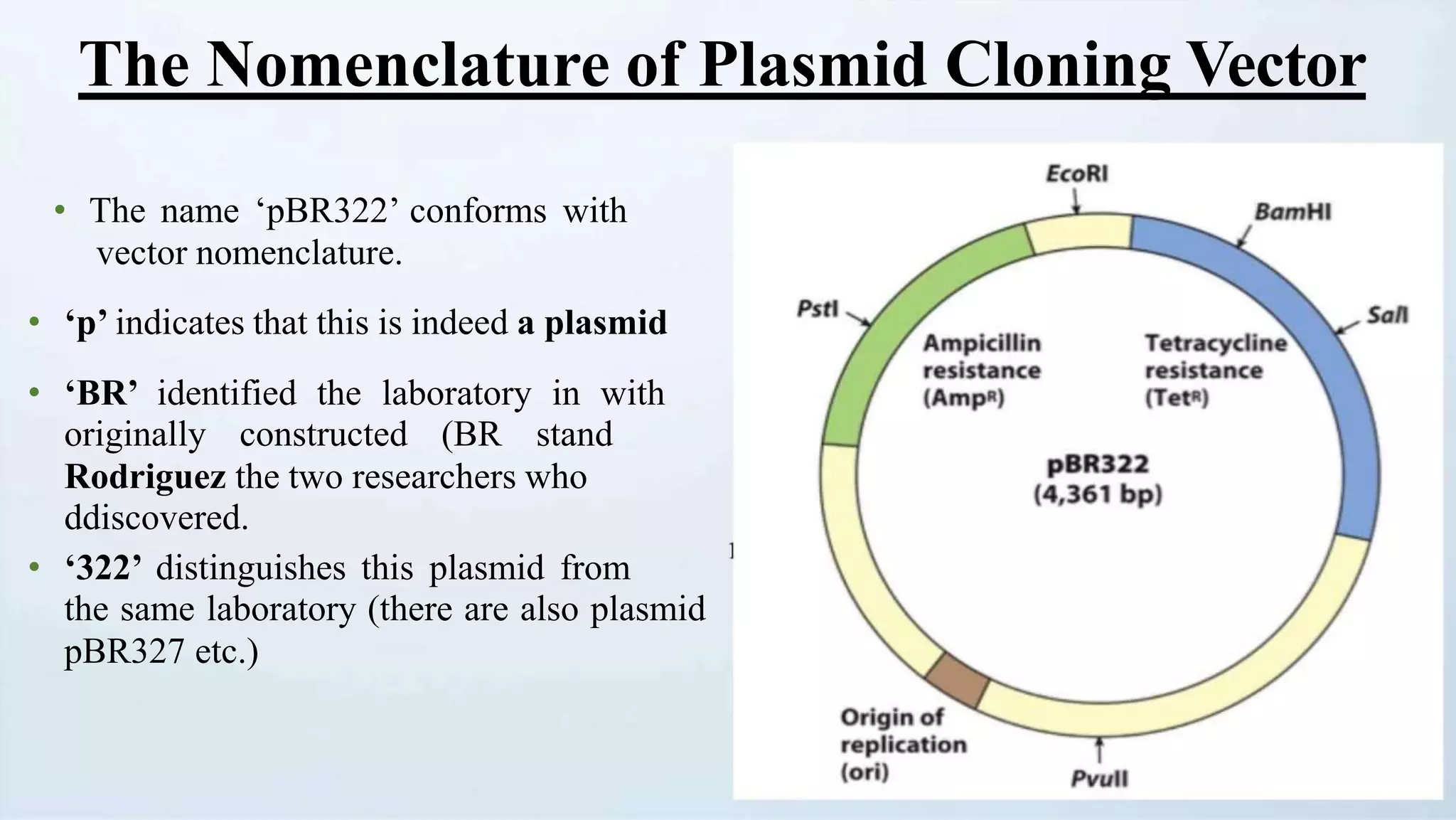 The Nomenclature of Plasmid Cloning Vector
• The name ‘pBR322’ conforms with
vector nomenclature.
• ‘p’ indicates that this is indeed a plasmid
• ‘BR’ identified the laboratory in with
originally constructed (BR stand
Rodriguez the two researchers who
ddiscovered.
• ‘322’ distinguishes this plasmid from
the same laboratory (there are also plasmid
pBR327 etc.)
 