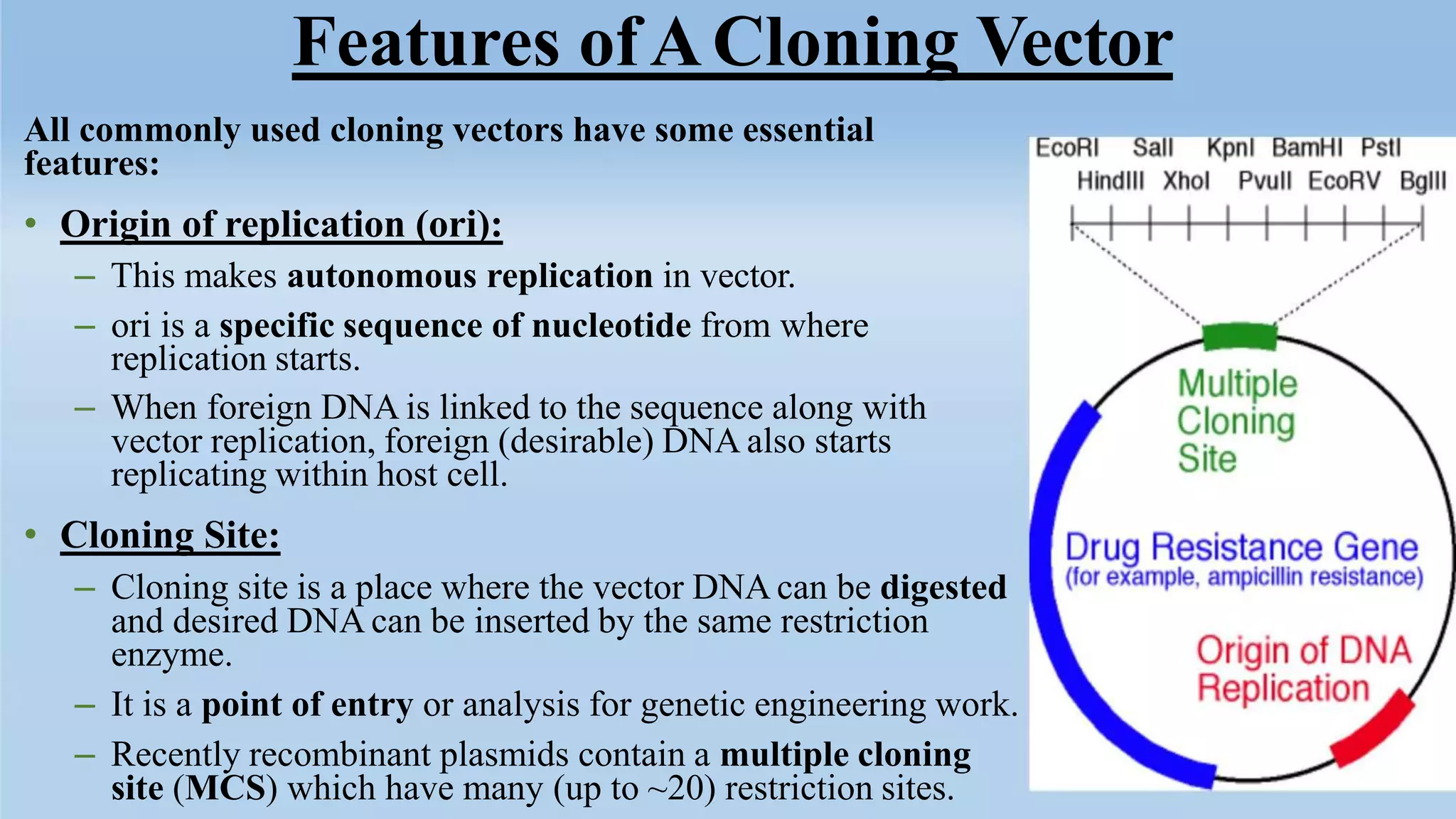 cloning vectors.ppt