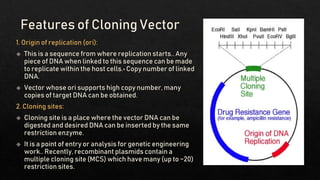 Cloning vectors.pptx