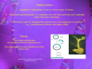 cloning vectors.pdf