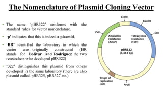 • The name ‘pBR322’ conforms with the
standard rules for vector nomenclature.
• ‘p’ indicates that this is indeed a plasmid.
• ‘BR’ identified the laboratory in which the
vector was originally constructed (BR
stands for Bolivar and Rodriguez the two
researchers who developed pBR322)
• ‘322’ distinguishes this plasmid from others
developed in the same laboratory (there are also
plasmid called pBR325, pBR327 etc.)
The Nomenclature of Plasmid Cloning Vector
 