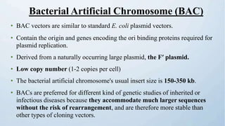 • BAC vectors are similar to standard E. coli plasmid vectors.
• Contain the origin and genes encoding the ori binding proteins required for
plasmid replication.
• Derived from a naturally occurring large plasmid, the Fʹ plasmid.
• Low copy number (1-2 copies per cell)
• The bacterial artificial chromosome's usual insert size is 150-350 kb.
• BACs are preferred for different kind of genetic studies of inherited or
infectious diseases because they accommodate much larger sequences
without the risk of rearrangement, and are therefore more stable than
other types of cloning vectors.
Bacterial Artificial Chromosome (BAC)
 