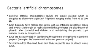 Bacterial artificial chromosomes
• Bacterial artificial chromosomes (BACs) are simple plasmid which is
designed to clone very large DNA fragments ranging in size from 75 to 300
kb.
• BACs basically have marker like sights such as antibiotic resistance genes
and a very stable origin of replication (ori) that promotes the distribution of
plasmid after bacterial cell division and maintaining the plasmid copy
number to one or two per cell.
• BACs are basically used in sequencing the genome of organisms in genome
projects (example: BACs were used in human genome project).
• Several hundred thousand base pair DNA fragments can be cloned using
BACs.
 