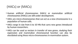 (HACs) or (MACs)
• Human artificial chromosomes (HACs) or mammalian artificial
chromosomes (MACs) are still under development.
• HACs are micro-chromosomes that can act as a new chromosome in a
population of human cells.
• HACs range in size from 6 to 10 Mb that carry new genes introduced
by human researchers.
• HACs can be used as vectors in transfer of new genes, studying their
expression and mammalian chromosomal function can also be
elucidated using these micro-chromosomes in mammalian system.
 