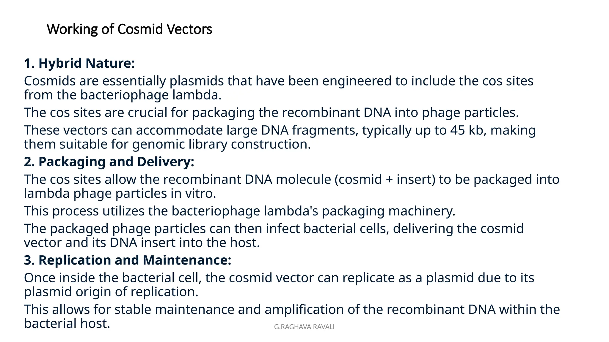 G.RAGHAVA RAVALI
Working of Cosmid Vectors
1. Hybrid Nature:
Cosmids are essentially plasmids that have been engineered to include the cos sites
from the bacteriophage lambda.
The cos sites are crucial for packaging the recombinant DNA into phage particles.
These vectors can accommodate large DNA fragments, typically up to 45 kb, making
them suitable for genomic library construction.
2. Packaging and Delivery:
The cos sites allow the recombinant DNA molecule (cosmid + insert) to be packaged into
lambda phage particles in vitro.
This process utilizes the bacteriophage lambda's packaging machinery.
The packaged phage particles can then infect bacterial cells, delivering the cosmid
vector and its DNA insert into the host.
3. Replication and Maintenance:
Once inside the bacterial cell, the cosmid vector can replicate as a plasmid due to its
plasmid origin of replication.
This allows for stable maintenance and amplification of the recombinant DNA within the
bacterial host.
 