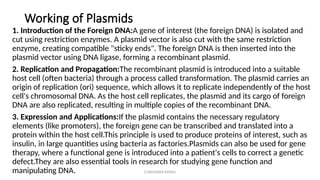 G.RAGHAVA RAVALI
Working of Plasmids
1. Introduction of the Foreign DNA:A gene of interest (the foreign DNA) is isolated and
cut using restriction enzymes. A plasmid vector is also cut with the same restriction
enzyme, creating compatible "sticky ends". The foreign DNA is then inserted into the
plasmid vector using DNA ligase, forming a recombinant plasmid.
2. Replication and Propagation:The recombinant plasmid is introduced into a suitable
host cell (often bacteria) through a process called transformation. The plasmid carries an
origin of replication (ori) sequence, which allows it to replicate independently of the host
cell's chromosomal DNA. As the host cell replicates, the plasmid and its cargo of foreign
DNA are also replicated, resulting in multiple copies of the recombinant DNA.
3. Expression and Applications:If the plasmid contains the necessary regulatory
elements (like promoters), the foreign gene can be transcribed and translated into a
protein within the host cell.This principle is used to produce proteins of interest, such as
insulin, in large quantities using bacteria as factories.Plasmids can also be used for gene
therapy, where a functional gene is introduced into a patient's cells to correct a genetic
defect.They are also essential tools in research for studying gene function and
manipulating DNA.
 