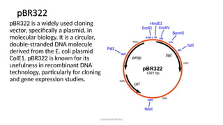 G.RAGHAVA RAVALI
pBR322
pBR322 is a widely used cloning
vector, specifically a plasmid, in
molecular biology. It is a circular,
double-stranded DNA molecule
derived from the E. coli plasmid
ColE1. pBR322 is known for its
usefulness in recombinant DNA
technology, particularly for cloning
and gene expression studies.
 