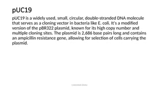 G.RAGHAVA RAVALI
pUC19
pUC19 is a widely used, small, circular, double-stranded DNA molecule
that serves as a cloning vector in bacteria like E. coli. It's a modified
version of the pBR322 plasmid, known for its high copy number and
multiple cloning sites. The plasmid is 2,686 base pairs long and contains
an ampicillin resistance gene, allowing for selection of cells carrying the
plasmid.
 
