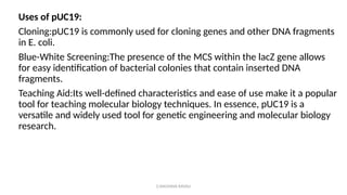 G.RAGHAVA RAVALI
Uses of pUC19:
Cloning:pUC19 is commonly used for cloning genes and other DNA fragments
in E. coli.
Blue-White Screening:The presence of the MCS within the lacZ gene allows
for easy identification of bacterial colonies that contain inserted DNA
fragments.
Teaching Aid:Its well-defined characteristics and ease of use make it a popular
tool for teaching molecular biology techniques. In essence, pUC19 is a
versatile and widely used tool for genetic engineering and molecular biology
research.
 
