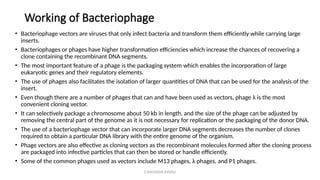 G.RAGHAVA RAVALI
Working of Bacteriophage
• Bacteriophage vectors are viruses that only infect bacteria and transform them efficiently while carrying large
inserts.
• Bacteriophages or phages have higher transformation efficiencies which increase the chances of recovering a
clone containing the recombinant DNA segments.
• The most important feature of a phage is the packaging system which enables the incorporation of large
eukaryotic genes and their regulatory elements.
• The use of phages also facilitates the isolation of larger quantities of DNA that can be used for the analysis of the
insert.
• Even though there are a number of phages that can and have been used as vectors, phage λ is the most
convenient cloning vector.
• It can selectively package a chromosome about 50 kb in length, and the size of the phage can be adjusted by
removing the central part of the genome as it is not necessary for replication or the packaging of the donor DNA.
• The use of a bacteriophage vector that can incorporate larger DNA segments decreases the number of clones
required to obtain a particular DNA library with the entire genome of the organism.
• Phage vectors are also effective as cloning vectors as the recombinant molecules formed after the cloning process
are packaged into infective particles that can then be stored or handle efficiently.
• Some of the common phages used as vectors include M13 phages, λ phages, and P1 phages.
 