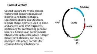 G.RAGHAVA RAVALI
Cosmid Vectors
Cosmid vectors are hybrid cloning
vectors that combine features of
plasmids and bacteriophages,
specifically utilizing cos sites from
lambda phage. They are used to clone
and analyze large DNA fragments,
particularly for constructing genomic
libraries. Cosmids can accommodate
DNA inserts up to 45kb, which is larger
than typical plasmids, and can be
packaged into phage particles for
efficient delivery into bacteria.
 