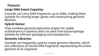 G.RAGHAVA RAVALI
Features
Large DNA Insert Capacity:
Cosmids can carry DNA fragments up to 45kb, making them
suitable for cloning larger genes and constructing genomic
libraries.
Hybrid Vector:
They combine plasmid replication origins for stable
maintenance in bacteria with cos sites from bacteriophage
lambda for efficient packaging and transduction.
Genomic Libraries:
Cosmids are frequently used to create genomic libraries, which
are collections of cloned DNA fragments representing the entire
genome of an organism
 