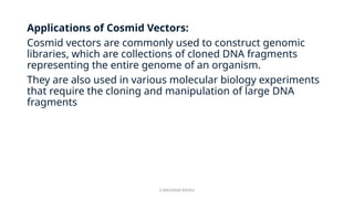 G.RAGHAVA RAVALI
Applications of Cosmid Vectors:
Cosmid vectors are commonly used to construct genomic
libraries, which are collections of cloned DNA fragments
representing the entire genome of an organism.
They are also used in various molecular biology experiments
that require the cloning and manipulation of large DNA
fragments
 