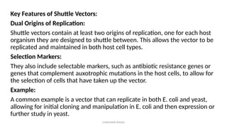 G.RAGHAVA RAVALI
Key Features of Shuttle Vectors:
Dual Origins of Replication:
Shuttle vectors contain at least two origins of replication, one for each host
organism they are designed to shuttle between. This allows the vector to be
replicated and maintained in both host cell types.
Selection Markers:
They also include selectable markers, such as antibiotic resistance genes or
genes that complement auxotrophic mutations in the host cells, to allow for
the selection of cells that have taken up the vector.
Example:
A common example is a vector that can replicate in both E. coli and yeast,
allowing for initial cloning and manipulation in E. coli and then expression or
further study in yeast.
 