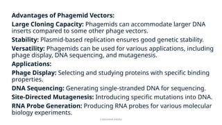 G.RAGHAVA RAVALI
Advantages of Phagemid Vectors:
Large Cloning Capacity: Phagemids can accommodate larger DNA
inserts compared to some other phage vectors.
Stability: Plasmid-based replication ensures good genetic stability.
Versatility: Phagemids can be used for various applications, including
phage display, DNA sequencing, and mutagenesis.
Applications:
Phage Display: Selecting and studying proteins with specific binding
properties.
DNA Sequencing: Generating single-stranded DNA for sequencing.
Site-Directed Mutagenesis: Introducing specific mutations into DNA.
RNA Probe Generation: Producing RNA probes for various molecular
biology experiments.
 