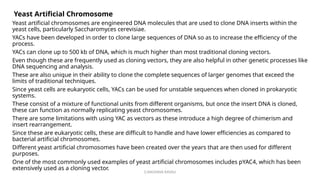 G.RAGHAVA RAVALI
Yeast Artificial Chromosome
Yeast artificial chromosomes are engineered DNA molecules that are used to clone DNA inserts within the
yeast cells, particularly Saccharomyces cerevisiae.
YACs have been developed in order to clone large sequences of DNA so as to increase the efficiency of the
process.
YACs can clone up to 500 kb of DNA, which is much higher than most traditional cloning vectors.
Even though these are frequently used as cloning vectors, they are also helpful in other genetic processes like
DNA sequencing and analysis.
These are also unique in their ability to clone the complete sequences of larger genomes that exceed the
limits of traditional techniques.
Since yeast cells are eukaryotic cells, YACs can be used for unstable sequences when cloned in prokaryotic
systems.
These consist of a mixture of functional units from different organisms, but once the insert DNA is cloned,
these can function as normally replicating yeast chromosomes.
There are some limitations with using YAC as vectors as these introduce a high degree of chimerism and
insert rearrangement.
Since these are eukaryotic cells, these are difficult to handle and have lower efficiencies as compared to
bacterial artificial chromosomes.
Different yeast artificial chromosomes have been created over the years that are then used for different
purposes.
One of the most commonly used examples of yeast artificial chromosomes includes pYAC4, which has been
extensively used as a cloning vector.
 