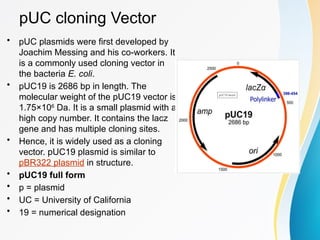 typesofcloningvectors,pbr322,puc19 .pptx