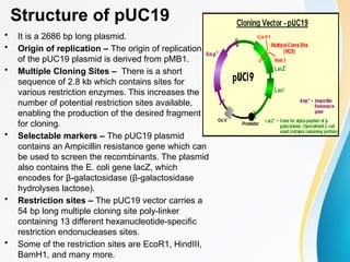 typesofcloningvectors,pbr322,puc19 .pptx