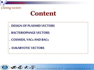 Cloning vectors for genetic engineerings | PDF