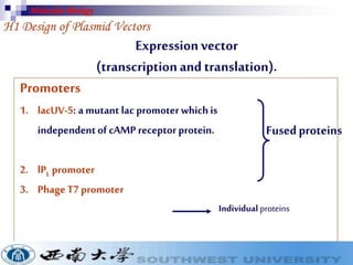 Cloning vectors for genetic engineerings | PDF