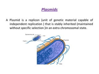 Plasmids
A Plasmid is a replicon (unit of genetic material capable of
independent replication ) that is stably inherited (maintained
without specific selection )in an extra chromosomal state.
 