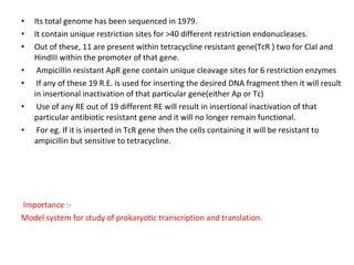 • Its total genome has been sequenced in 1979.
• It contain unique restriction sites for >40 different restriction endonucleases.
• Out of these, 11 are present within tetracycline resistant gene(TcR ) two for ClaI and
HindIII within the promoter of that gene.
• Ampicillin resistant ApR gene contain unique cleavage sites for 6 restriction enzymes
• If any of these 19 R.E. is used for inserting the desired DNA fragment then it will result
in insertional inactivation of that particular gene(either Ap or Tc)
• Use of any RE out of 19 different RE will result in insertional inactivation of that
particular antibiotic resistant gene and it will no longer remain functional.
• For eg. If it is inserted in TcR gene then the cells containing it will be resistant to
ampicillin but sensitive to tetracycline.
Importance :-
Model system for study of prokaryotic transcription and translation.
 