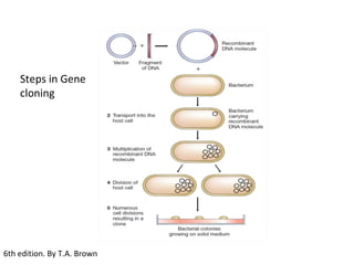 Steps in Gene
cloning
6th edition. By T.A. Brown
 