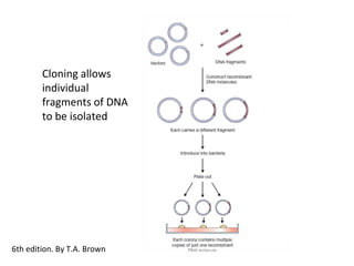 Cloning allows
individual
fragments of DNA
to be isolated
6th edition. By T.A. Brown
 
