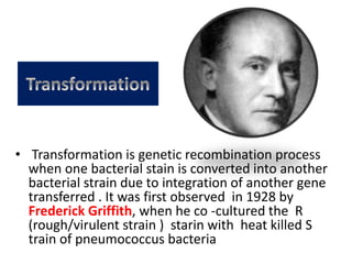 Pneumococcus Transformation Cloning vector series 1 | PPT