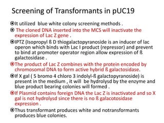 Cloning vector series 1 | PPT