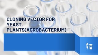CLONING VECTOR FOR
YEAST,
PLANTS(AGROBACTERIUM)
 